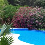 Photo_2 Photo_2