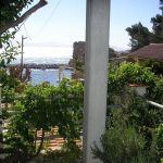 Photo_2
