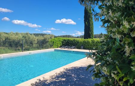 Piscine avec vue sur les oliviers Gîte n°13G190207 Maussane-les-Alpilles - Bouches-du-Rhône - Piscine avec vue sur les oliviers