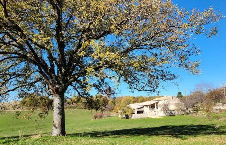 G&icirc;te n&deg;G14460 Redortiers - Alpes-de-Haute-Provence - photo