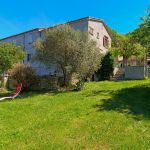 gite - Le Tilleul - FORCALQUIER - Alpes-de-Haute-Provence