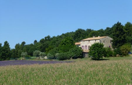 Notre maison est au milieu des champs Gîte n°G11428 Manosque - Alpes-de-Haute-Provence - Notre maison est au milieu des champs