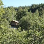 Tente lodge - Sauterelle - REVEST DU BION - Alpes-de-Haute-Provence