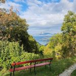Un banc d'observation