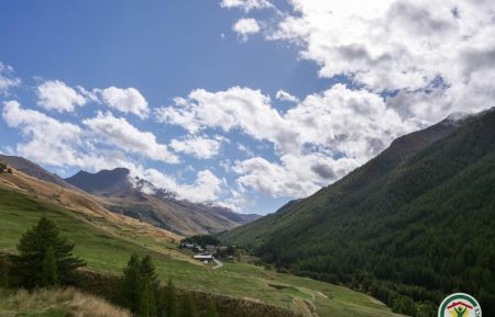 G&icirc;te n&deg;8685 Molines-en-Queyras - Hautes-Alpes - photo