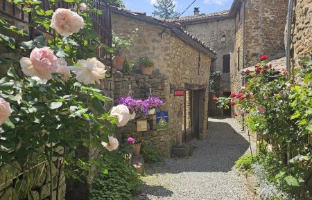 Chambre d'h&ocirc;tes n&deg;1615 Saint-Andr&eacute;-de-Rosans - Hautes-Alpes - photo