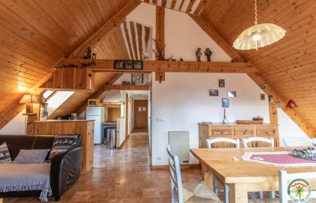 G&icirc;te n&deg;8537 Ch&acirc;teau-Ville-Vieille - Hautes-Alpes - Salon, s&eacute;jour et cuisine