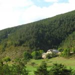 gite - Ecogîtes Les Bayles Abeilles - Le Levant - MONTBRAND - Hautes-Alpes