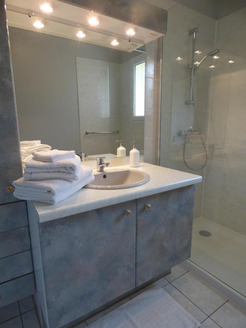 salle d'eau chambre Morgon avec douche italienne photo 18
