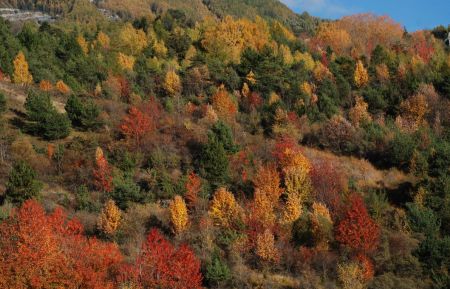 G&icirc;te n&deg;6955 Saint-Sauveur - Hautes-Alpes - couleurs d'automne