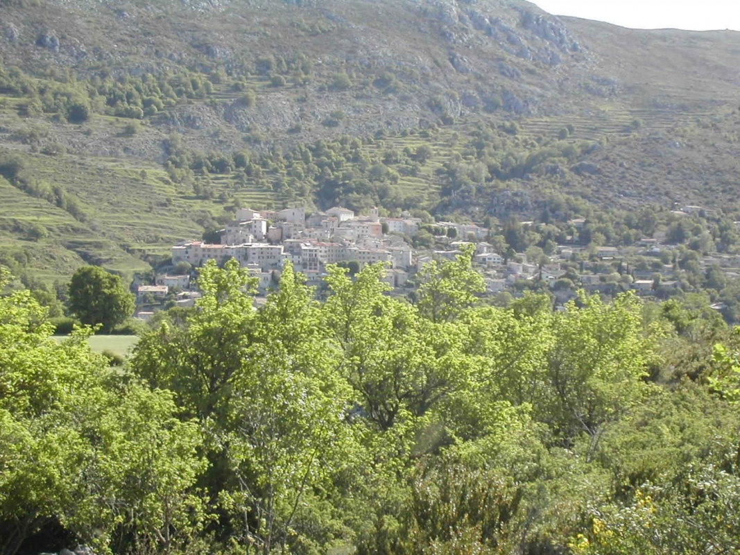 photo 0