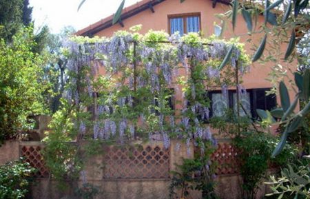 G&icirc;te n&deg;6086 Nice - Alpes-Maritimes - photo