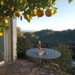 gite - Le Pamplemousse - SAINT-PAUL-DE-VENCE - Alpes-Maritimes