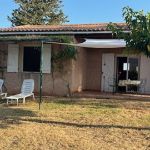 gite - G&icirc;te au milieu des vignes G285 - VIDAUBAN - Var