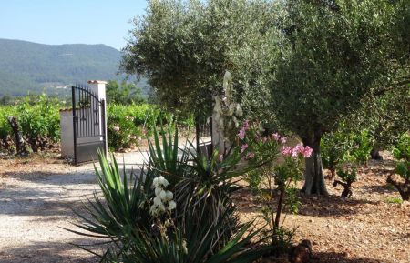 G&icirc;te n&deg;G2452 Cuers - Var - Bienvenue &agrave; la Campagne