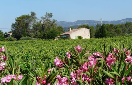 G&icirc;te n&deg;G3265 Montfort-sur-Argens - Var - photo