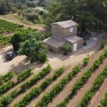 gite - Le Cabanon du Capelan - LA MOTTE - Var