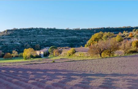 Chambre d'h&ocirc;tes n&deg;84G1014 Buoux - Vaucluse - La Grande Bastide 