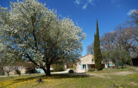 G&icirc;te n&deg;84G2310 Opp&egrave;de - Vaucluse - photo