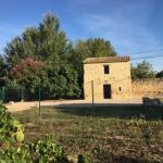 gite - Le cabanon d'Elie et C&eacute;lesta - CAROMB - Vaucluse