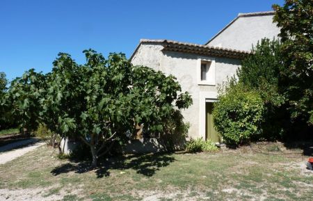 G&icirc;te n&deg;84G689 Mazan - Vaucluse - photo