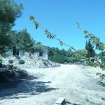 gite - des artistes - PUYVERT - Vaucluse