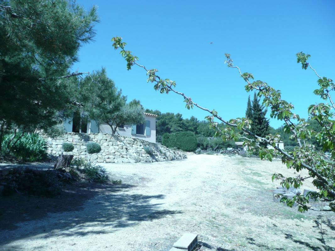 photo 0