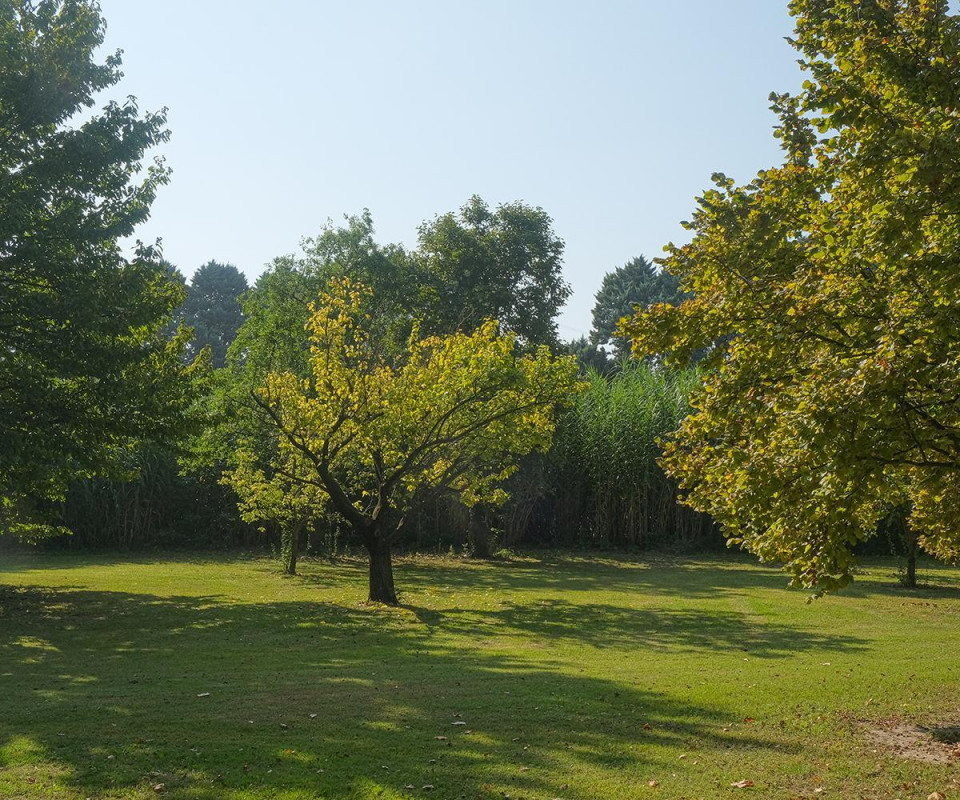 photo 34
