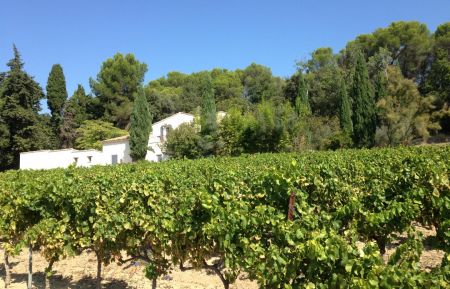 G&icirc;te n&deg;84G3458 Beaumes-de-Venise - Vaucluse - photo