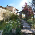 gite - Le cabanon des oliviers - PUYVERT - Vaucluse