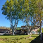 gite - La Marquise - LAURIS - Vaucluse