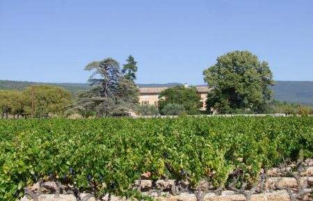 G&icirc;te n&deg;84G344 Saint-Saturnin-l&egrave;s-Apt - Vaucluse - photo