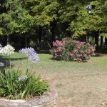 Albertine